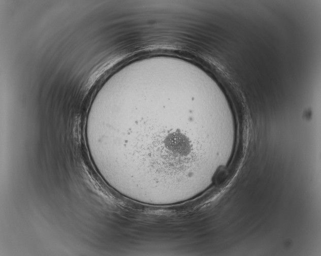 X0000116061113200912111521