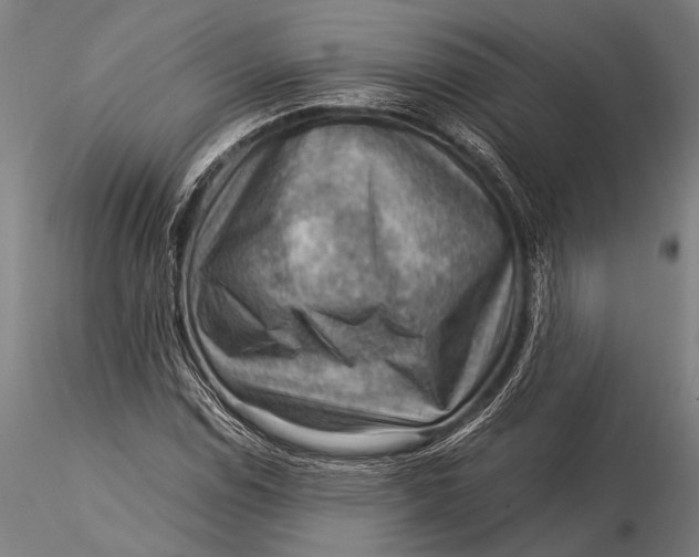 X0000116061114200912111521