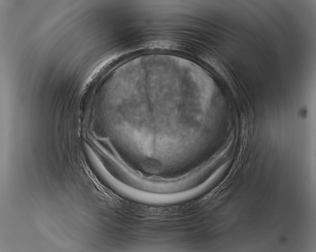 X0000116061115200912111521