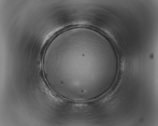 X0000116061117200912111521