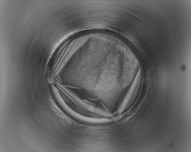 X0000116061118200912111521