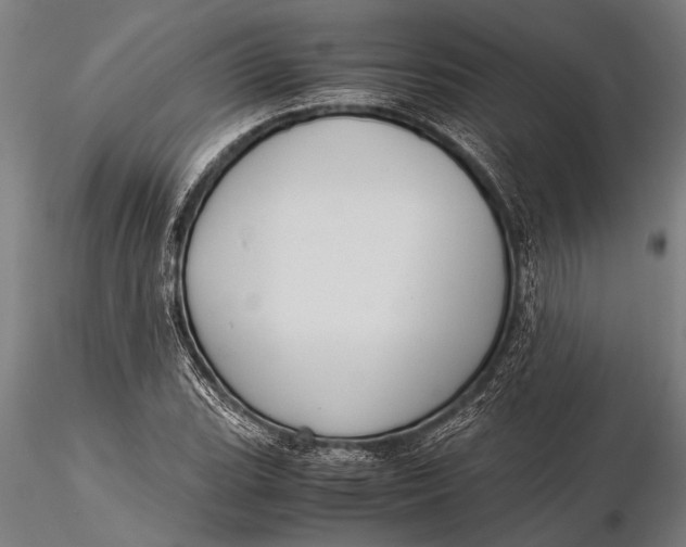 X0000116061119200912111521