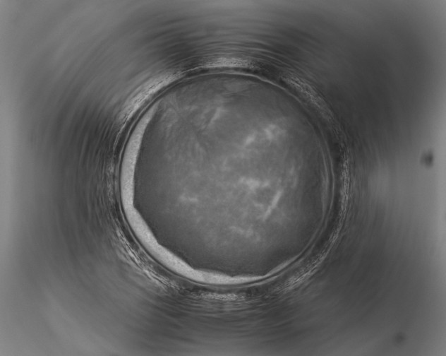 X0000116061121200912111521