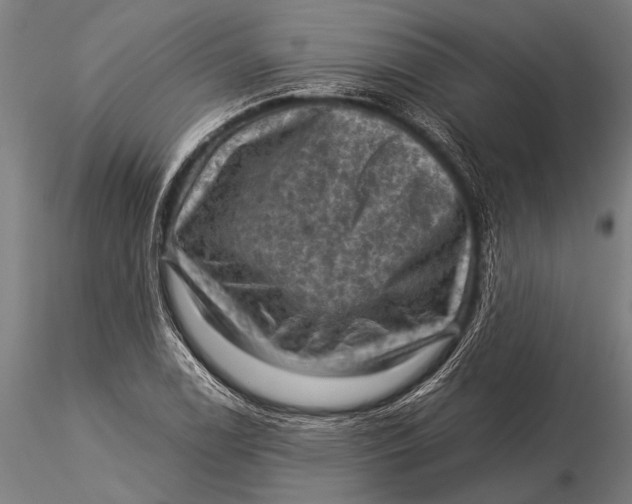 X0000116061122200912111521