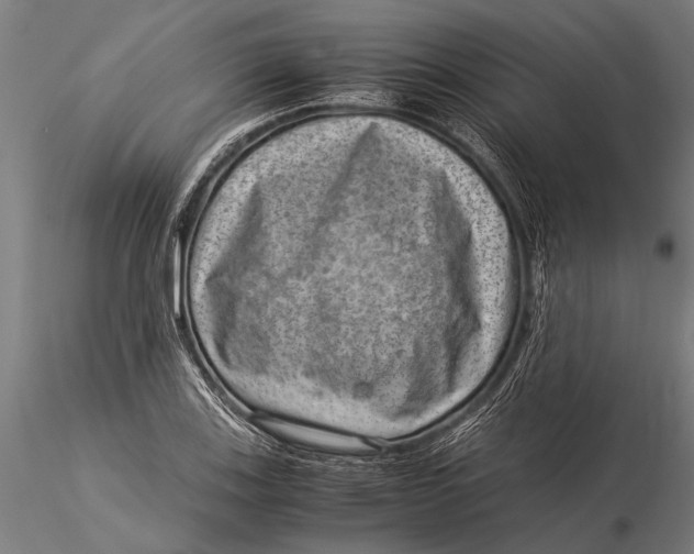 X0000116061123200912111521