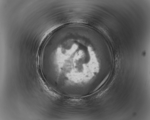 X0000116061125200912111521