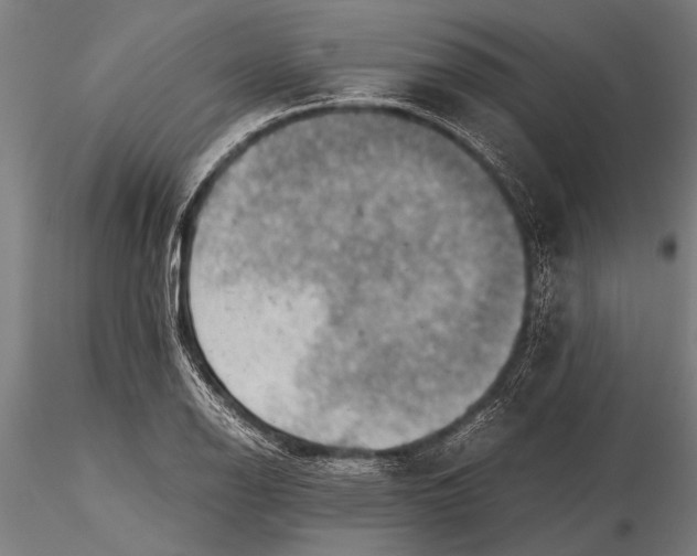 X0000116061126200912111521