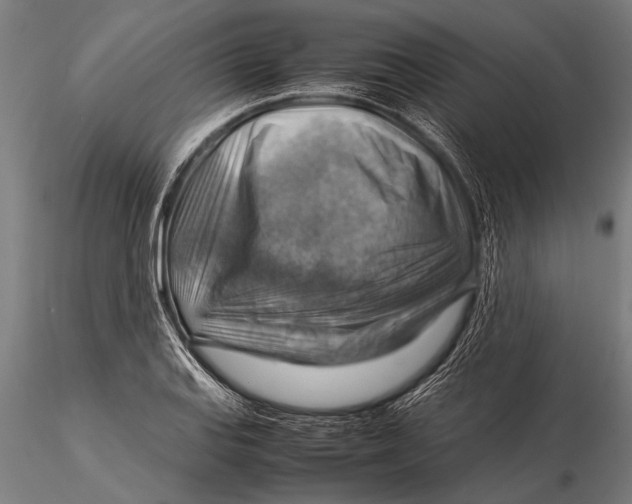 X0000116061127200912111521