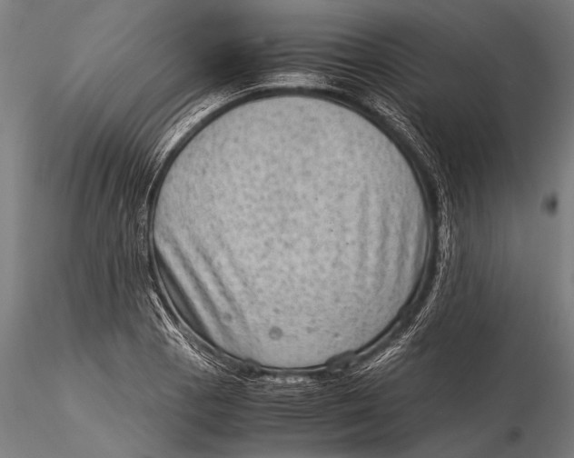 X0000116061129200912111521