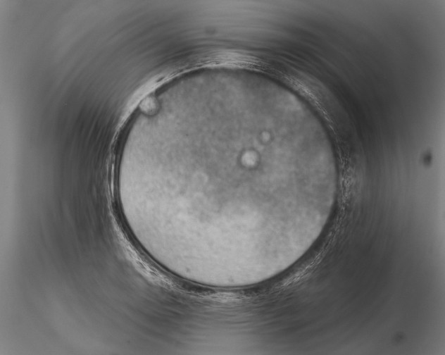 X0000116061130200912111521