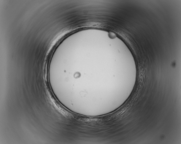 X0000116061131200912111521