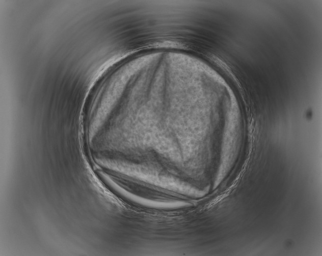 X0000116061133200912111522