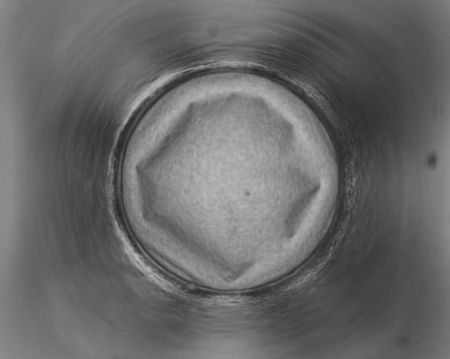 X0000116061134200912111522