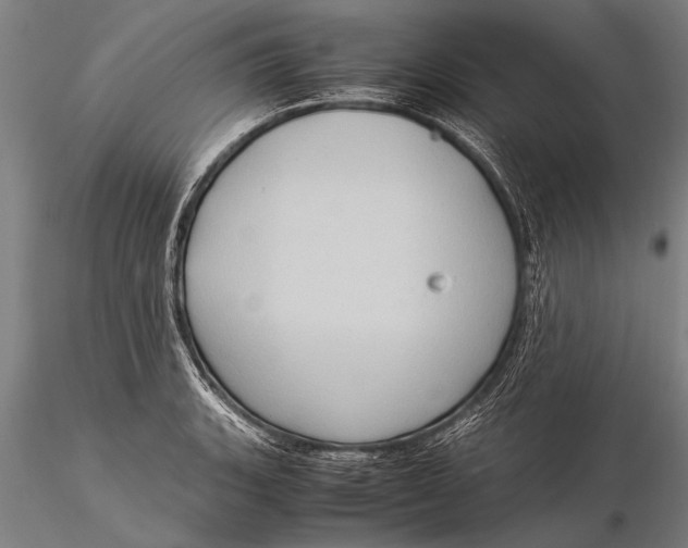 X0000116061135200912111522