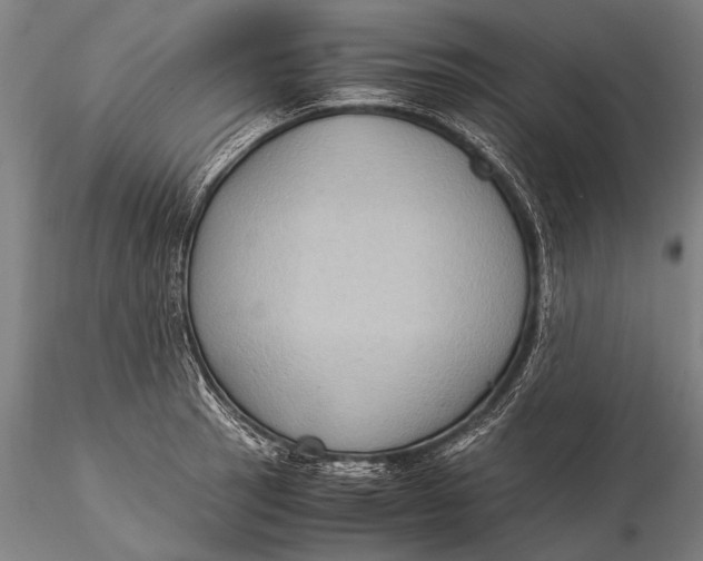 X0000116061137200912111522