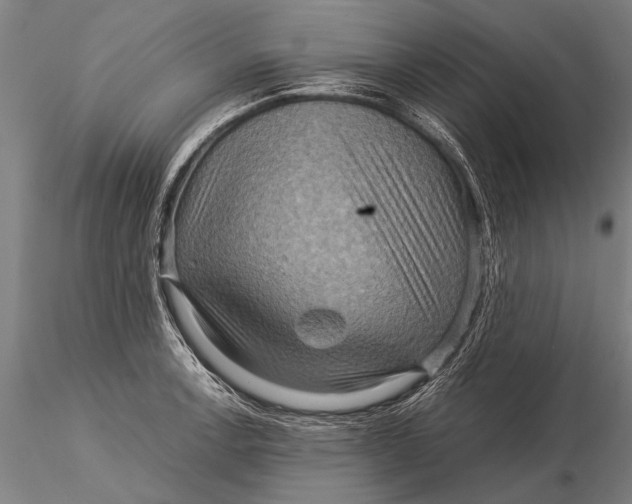 X0000116061138200912111522