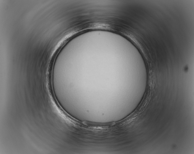 X0000116061139200912111522