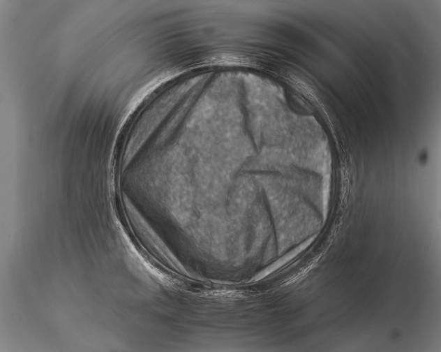 X0000116061141200912111522