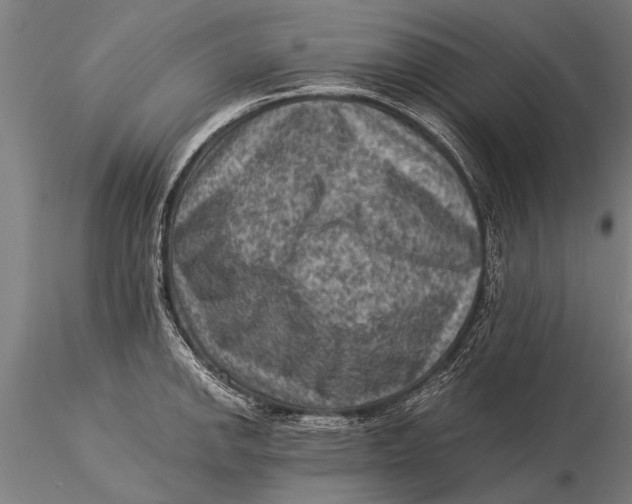 X0000116061142200912111522