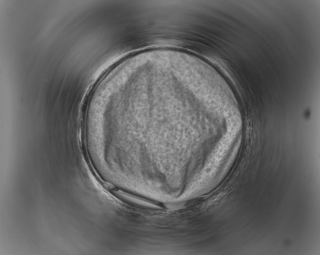 X0000116061143200912111522