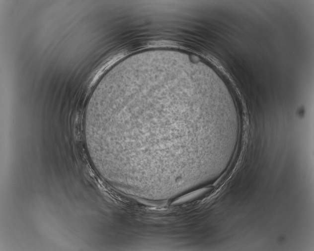 X0000116061145200912111522