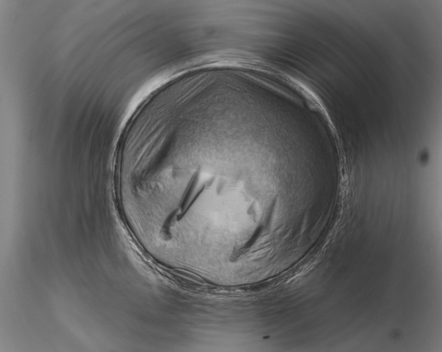 X0000116061146200912111522