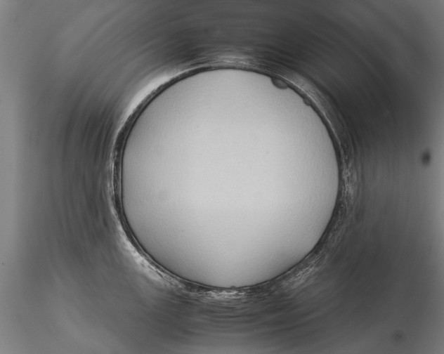 X0000116061147200912111522