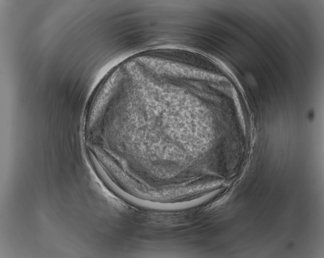 X0000116061149200912111522