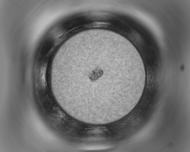 X0000116061150200912111522