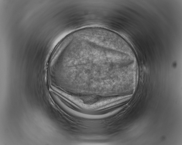 X0000116061151200912111522