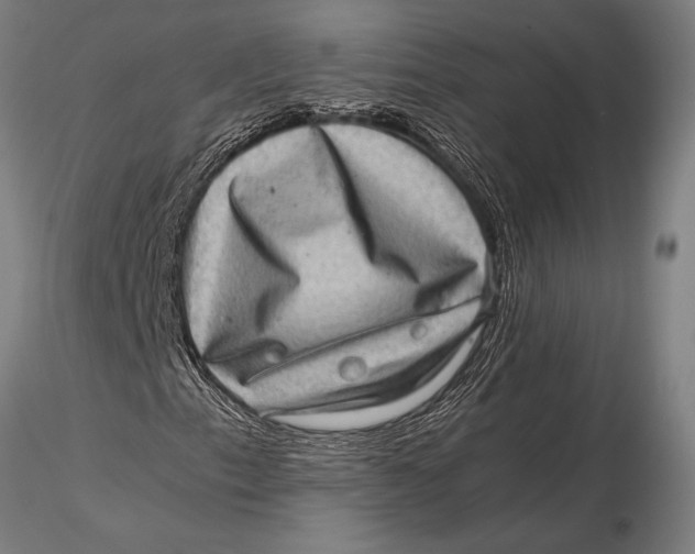 X0000116061153200912111521