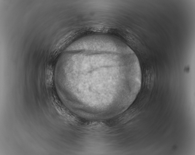 X0000116061154200912111521