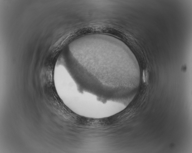 X0000116061155200912111521