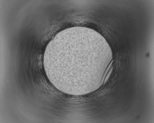 X0000116061156200912111521