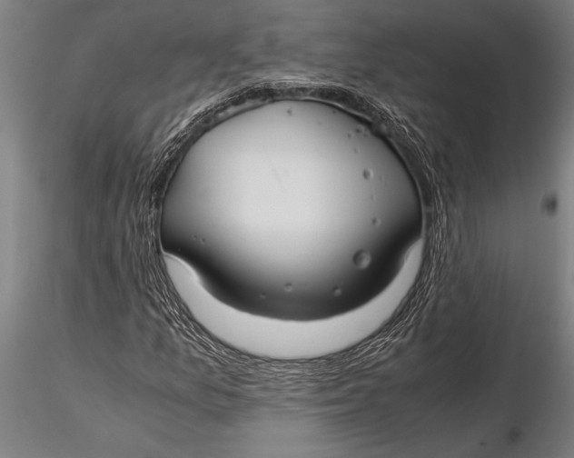 X0000116061157200912111521