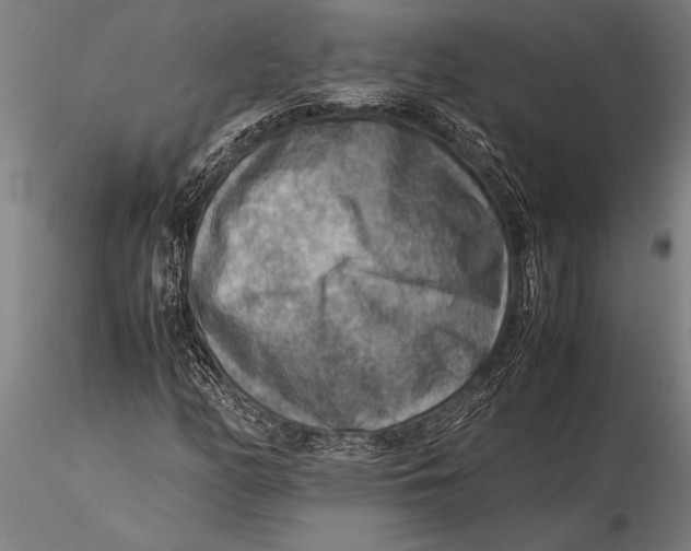 X0000116061158200912111521