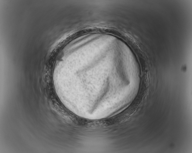 X0000116061159200912111521