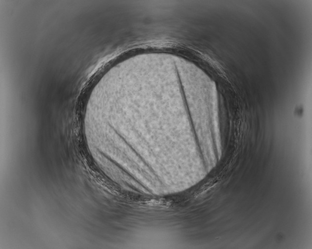 X0000116061160200912111521