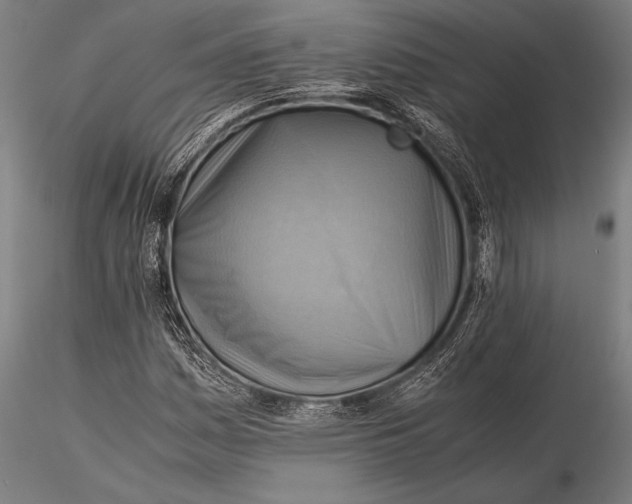 X0000116061161200912111521