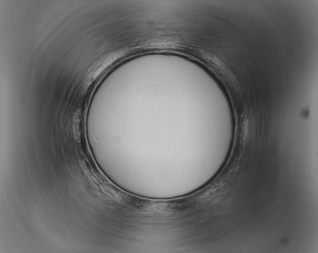 X0000116061162200912111521