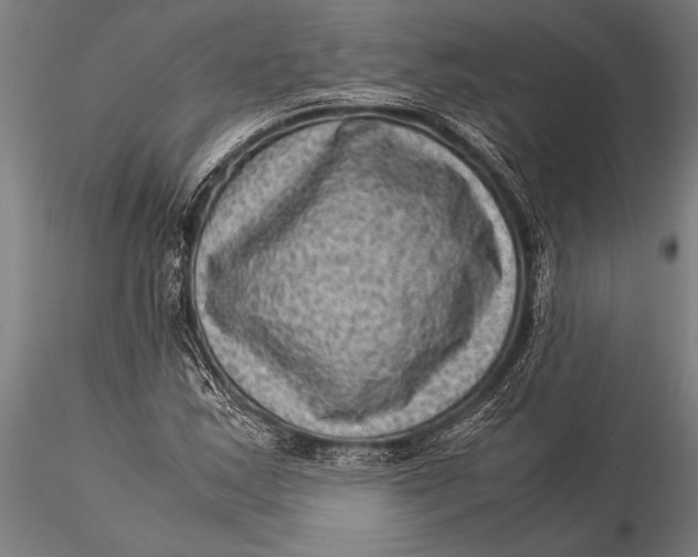 X0000116061163200912111521