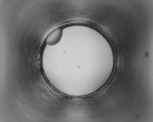 X0000116061164200912111521