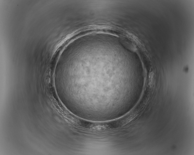 X0000116061165200912111521