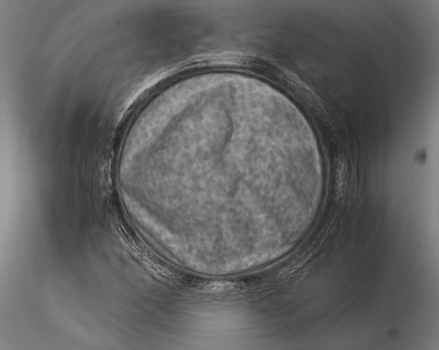 X0000116061166200912111521