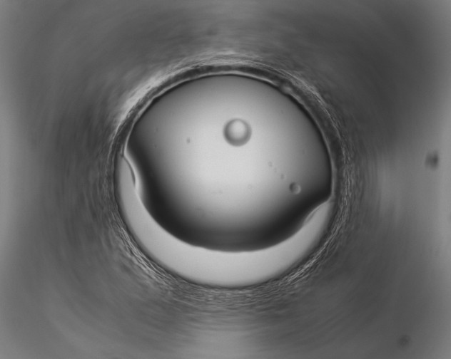 X0000116061167200912111521