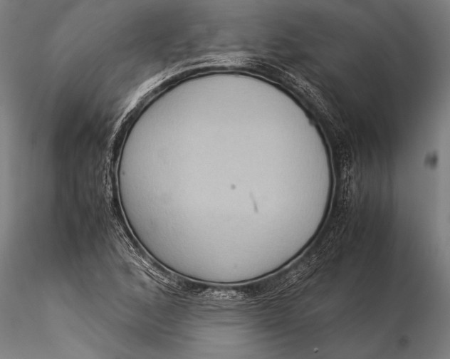 X0000116061168200912111521