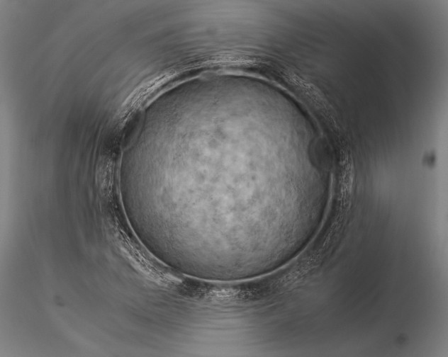 X0000116061169200912111521