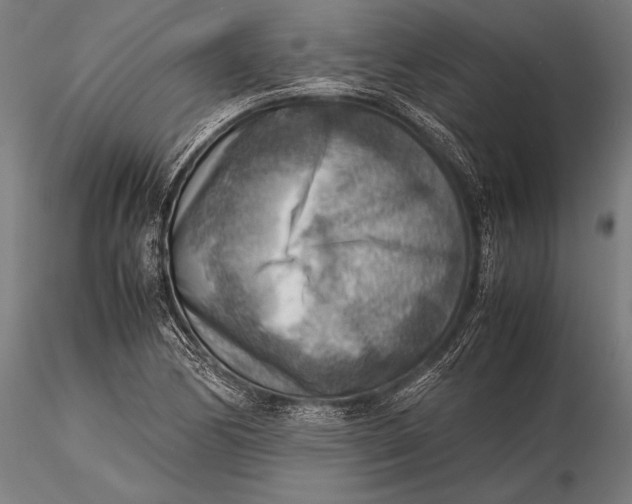 X0000116061170200912111521