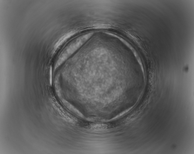 X0000116061171200912111521