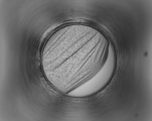 X0000116061172200912111521